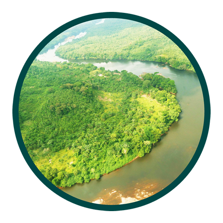 International Biodiversity Consultants - Ecosystem Services in Liberia
